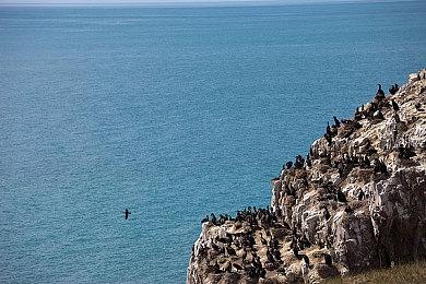 First 4 Figures公布《寂静岭2重制版》女护士模型