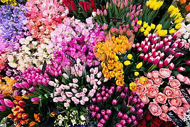 岛屿冒险游戏《Breakwaters》最新水物理演示视频